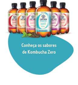 Garrafas de Kombucha Zero