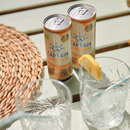 GUTsy Captain Kombucha Gengibre e Limão 20x250mL