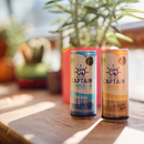 GUTsy Captain Kombucha - Pack Multi-Sabor 20x250mL