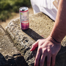 GUTsy Captain Kombucha Framboesa Lata 20x250mL